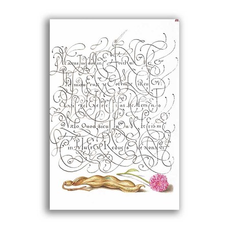 GF-CALLIGRAPHY-001. Papel de arroz de gran tamaño