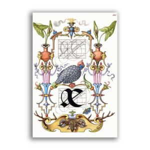 GF-GROTESCAS-023. Papel de arroz de gran tamaño
