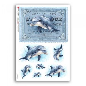 ANIMALS-0280. Papel de arroz para decoupage — Animales